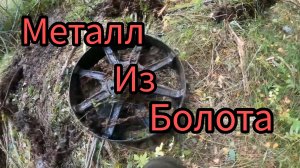 СЮДА СКИНУЛИ ВЕСЬ МЕТАЛЛ. МАШИНОЙ ВЫТАСКИВАЮ ЖЕЛЕЗО ИЗ БОЛОТА.