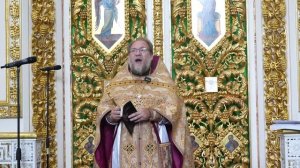 Проклятая смоковница, это вообще о чем