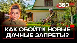 Жителям СНТ запретят заниматься бизнесом