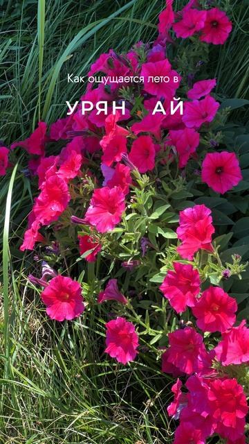 БАЗА ОТДЫХА УРЯНХАЙ РЕСТ КЫЗЫЛ ТЫВА