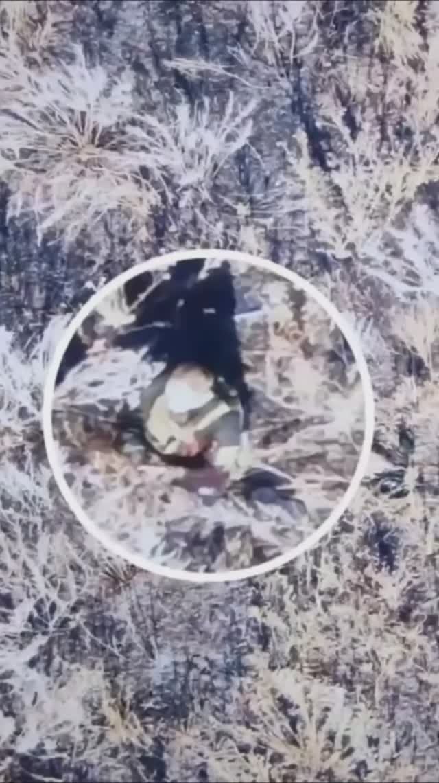 Быть воином - жить вечно #сво смотреть онлайн