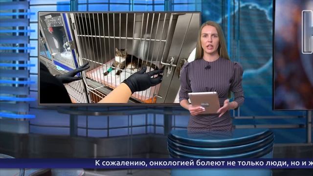 Обнинские новости (за 11 августа 2025) смотреть онлайн