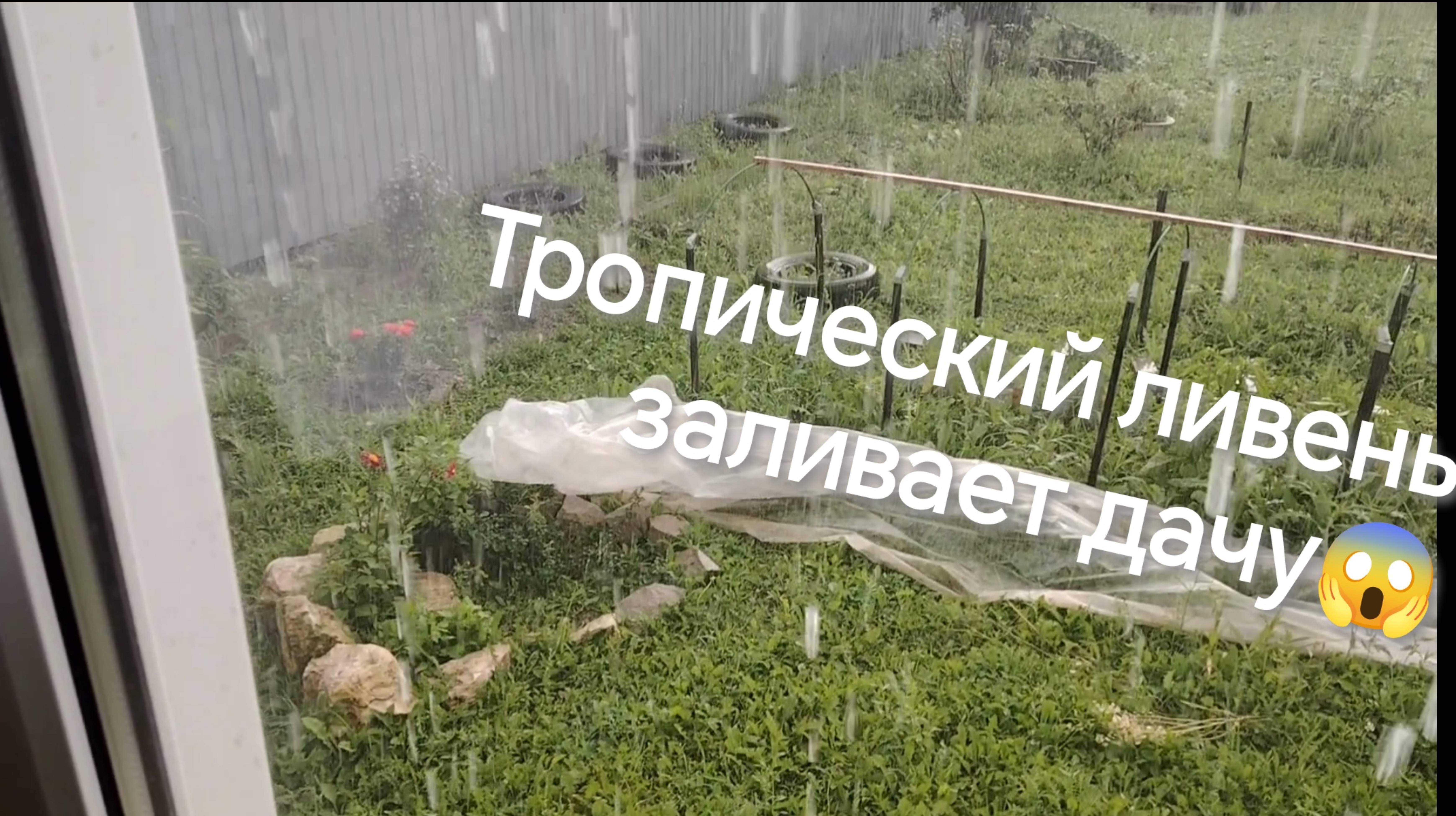 Тропические ливни подмосковного лета смотреть онлайн