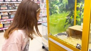 иду в зоомагазин