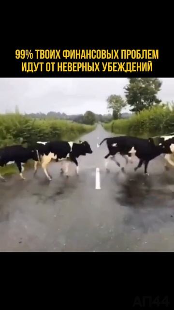 Меняешь мышление — меняешь доход