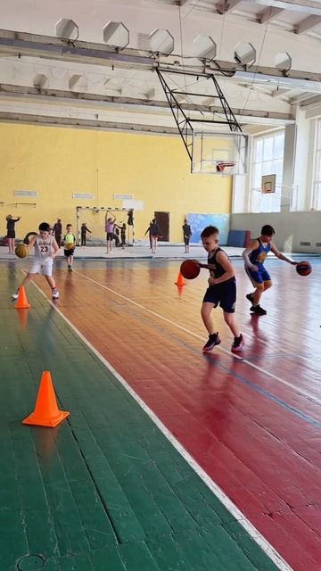 Тренировка ребят 2016-2017 г.р. БК Стремление.