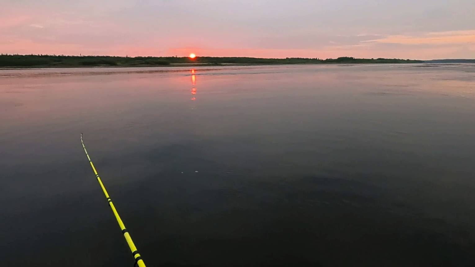 Сколько рыбы можно поймать за 1.5 часа \ 06.08.2025 смотреть онлайн