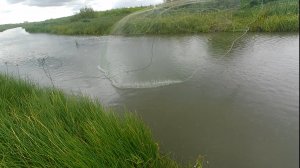 Кастинговая сеть 25-ка! Лучшая рыбалка в этом сезоне! Рыба на каждом забросе!