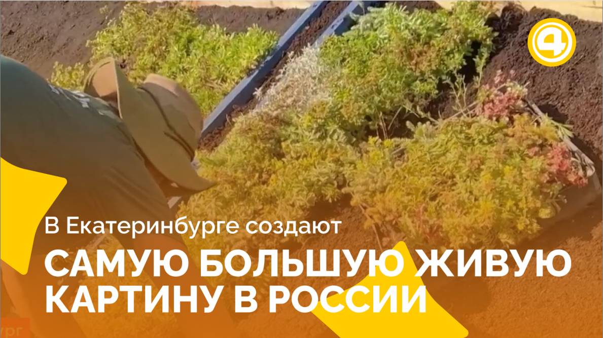 Рекордная живая картина украсит столицу Урала смотреть онлайн