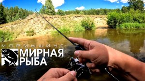Отличный день для отличного МОРМЫШИНГА, НАНОДЖИГА, УЛЬТРАЛАЙТА