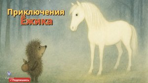 Ёжик и туманная дорога 🌫✨