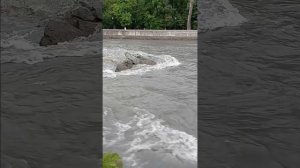 Мощь реки Терек