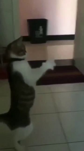 Питание + Тренировки = Результат