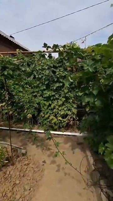 9123848 смотреть онлайн