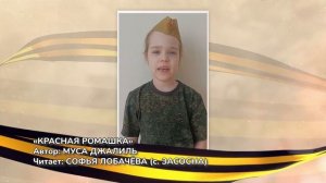 ✨Спокойной ночи, малыши✨113/2025 Стихи Победы - Красная ромашка