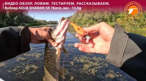 Воблер AQUA Shaman — выбор профессионалов: разбираем по полочкам. Удачной рыбалки!