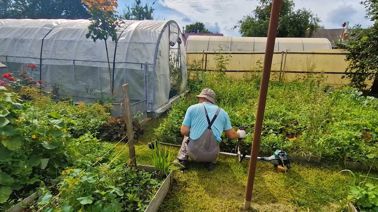 Хотел как лучше, не вышло. Дела огородные и сбор урожая. Нашли место для передержки огурцов смотреть онлайн