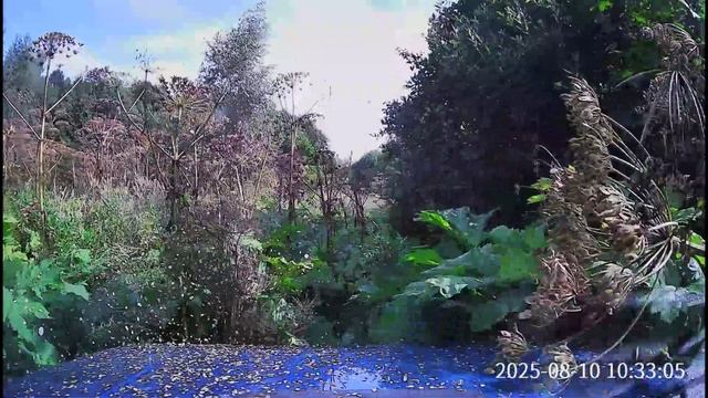 Танковый наступ