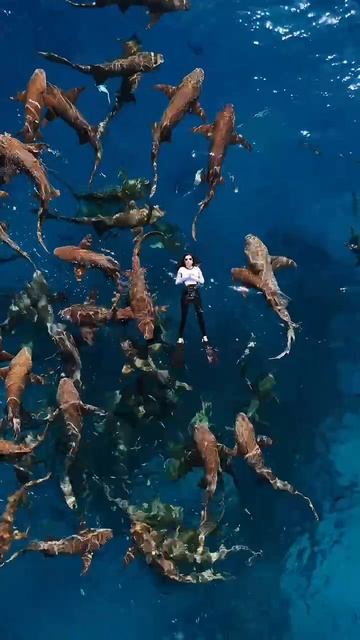 отпуск в августе #видео #анимация #видеоролик #заказатьролик #анимация #съёмка #юмор #видеостудия смотреть онлайн