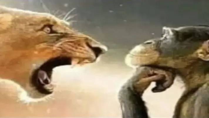 рейджбайт смотреть онлайн