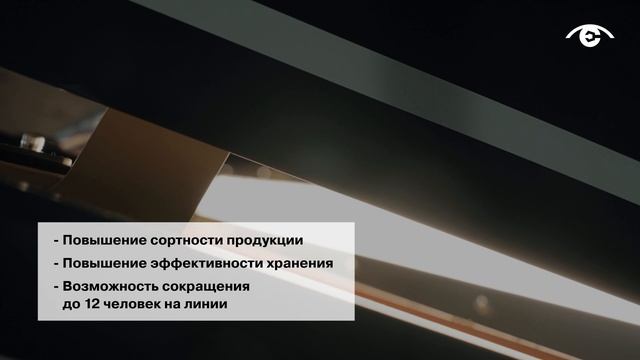 Первый российский оптический сортировщик картофеля до 100 т/час