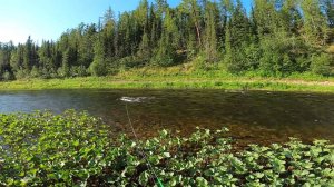 СЕМЕЙНАЯ РЫБАЛКА на ВЫДРЕ 430 Jet. Часть 1-ая.