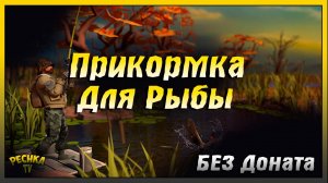 Прикормка для рыбы где взять в Ласт Дей | Last Day on Earth: Survival