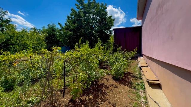 Недвижимость в Крыму смотреть онлайн