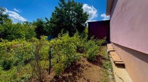 Недвижимость в Крыму