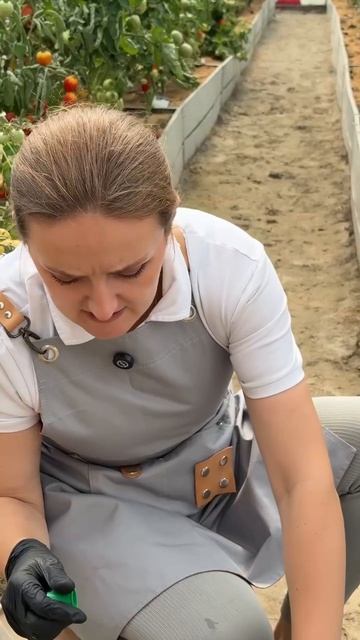 ПРОФИЛАКТИКА ФИТОФТОРЫ И КЛАДОСПОРИОЗА В 2025 ГОДУ смотреть онлайн