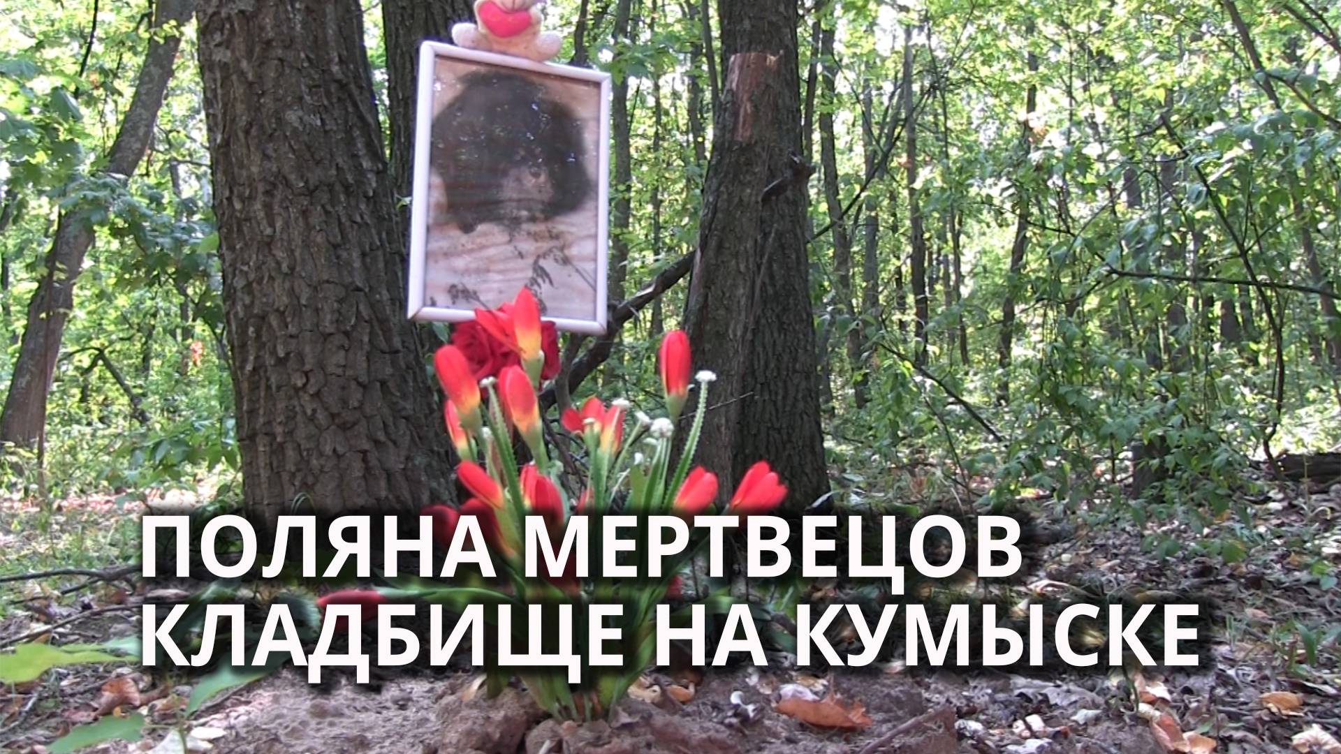 Стихийное кладбище домашних любимцев смотреть онлайн