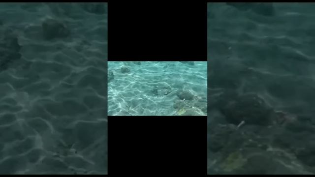 #25 мы на Бали отдыхали смотреть онлайн