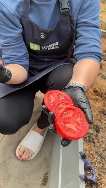 МАМОНТЕНОК 2025 смотреть онлайн