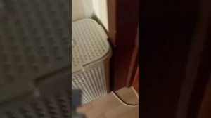 у друга . Выполняем ваши задания