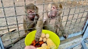 Денис пришел проведать Степашку и продолжить общение с Маняшкой)