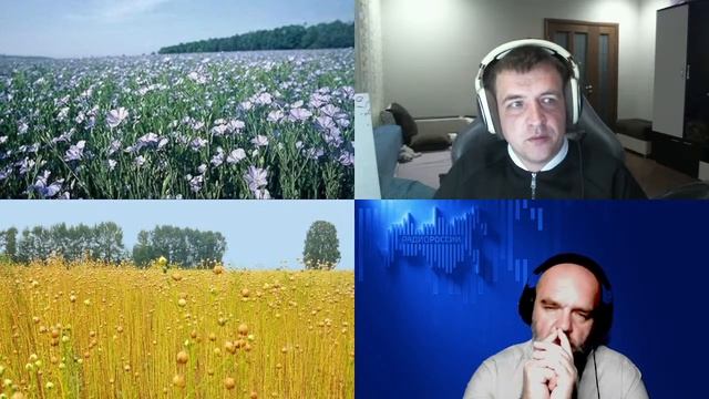 1584. Уваров А.В._ Русский лён. Расцвет масличного льна смотреть онлайн