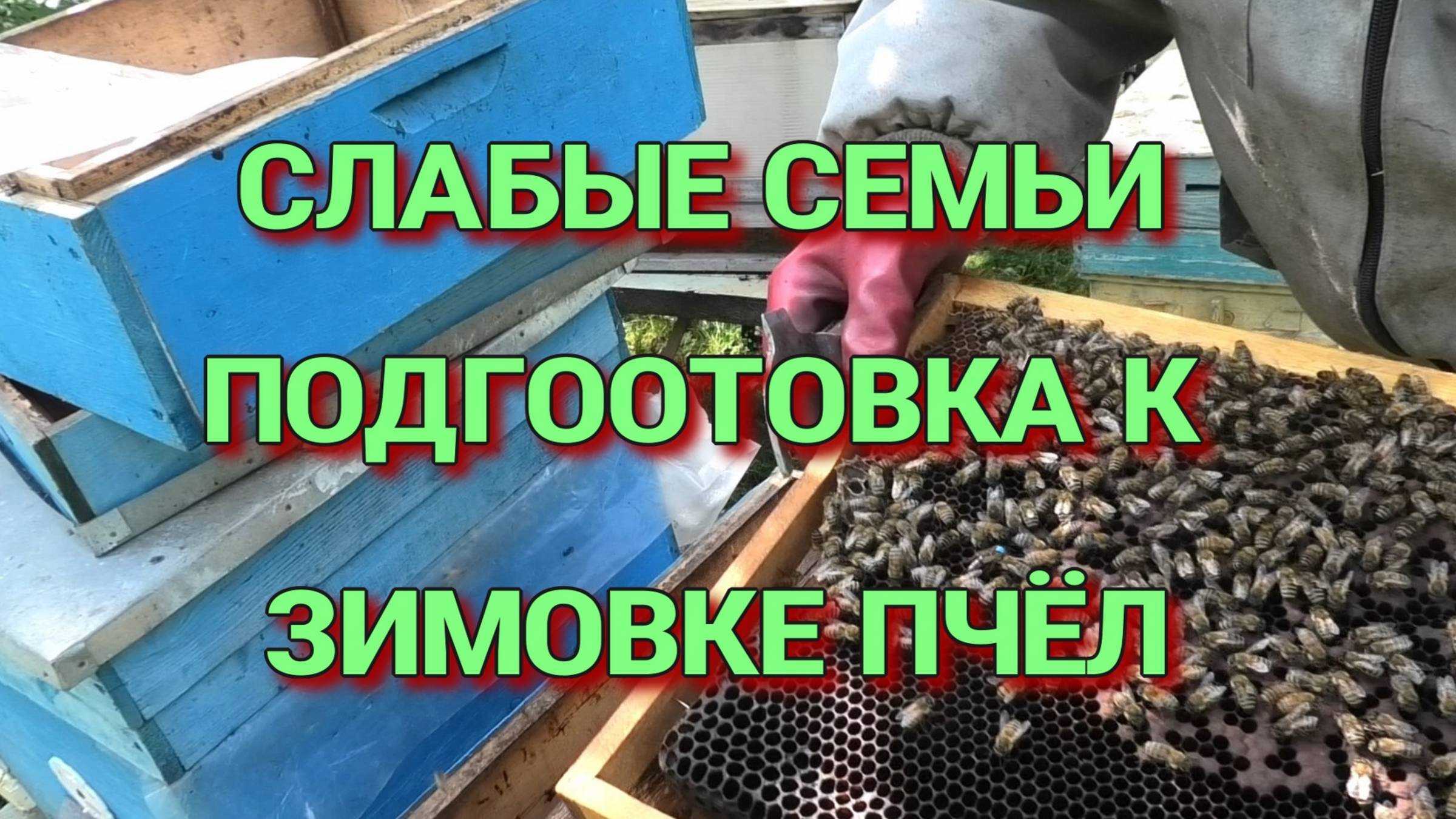 ВРЕМЯ НАРАЩИВАНИЯ,СЛАБЫЕ СЕМЬИ БУДЕМ ОБЬЕДИНЯТЬ. смотреть онлайн