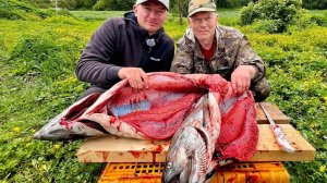 ЗАЧЕМ ЕЗДЯТ НА КАМЧАТКУ? ГОРЫ КРАСНОЙ ИКРЫ И ОГРОМНЫЙ ЛОСОСЬ