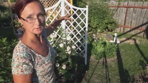 Угловая шпалера для розы моими руками. Подробно процесс изготовления!