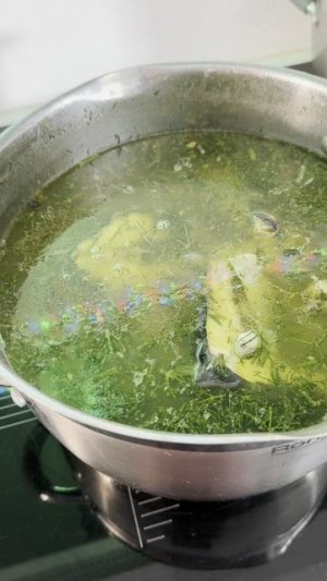 Уха из осетра, стерлядь Волжская...