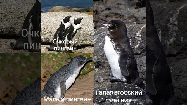 Это интересно-55