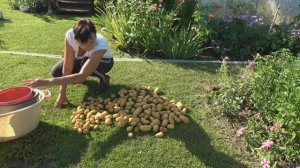 6 соток 6 августа 2025 года. 2 часть