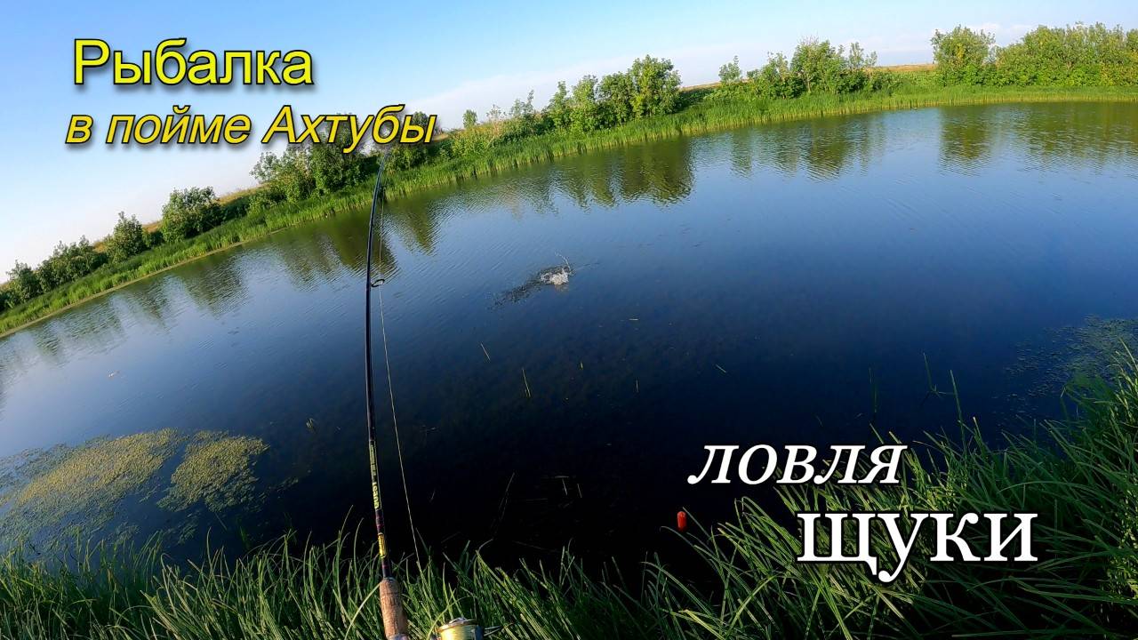 Ловля щуки в Волго-ахтубинской пойме в конце июля. Рыбалка летом на щуку. смотреть онлайн