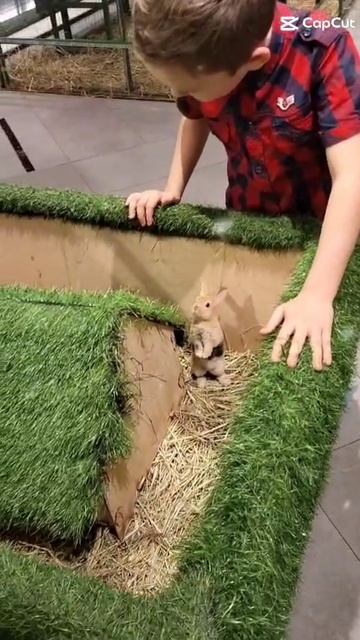 как я провёл первый день лето