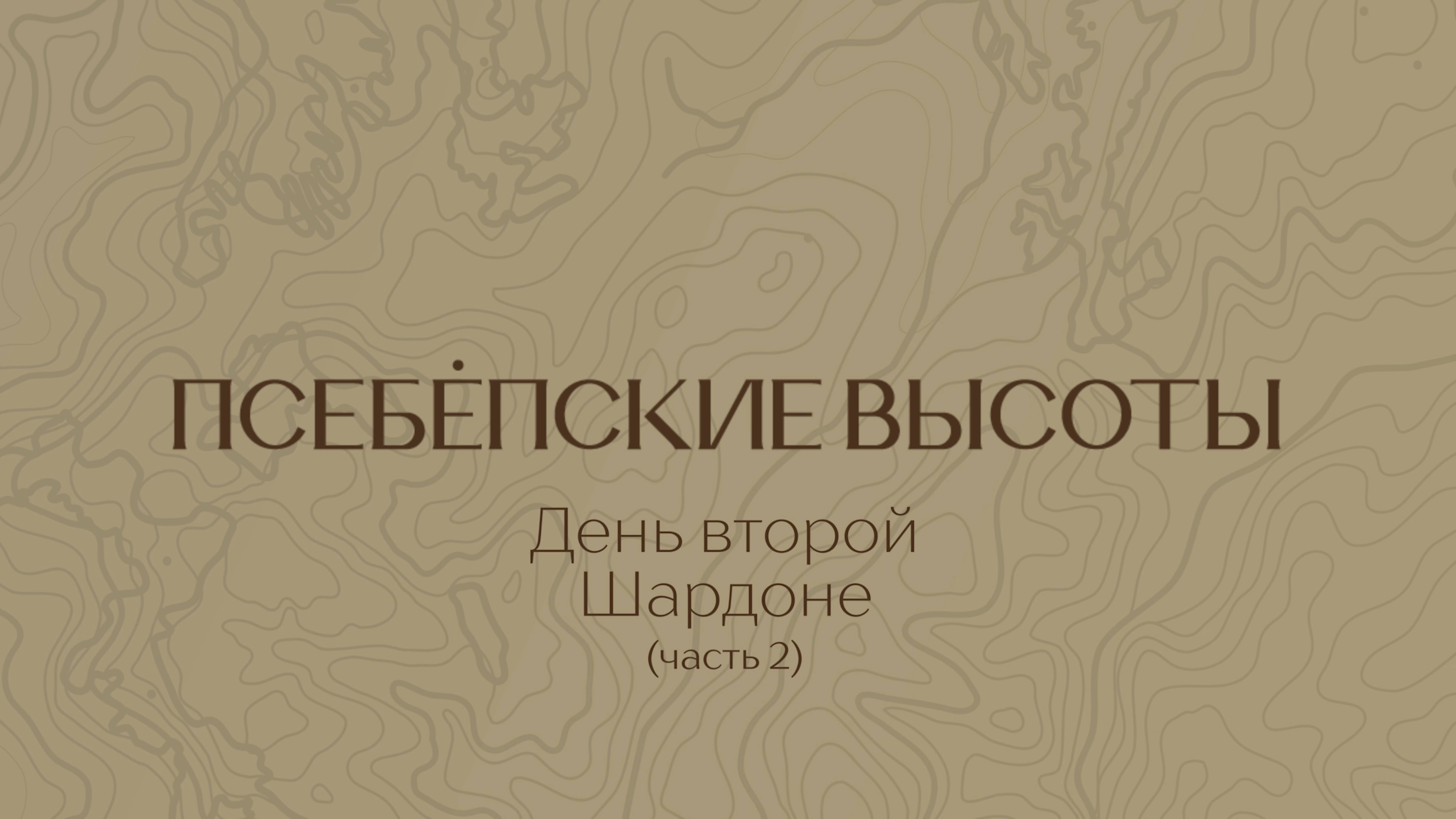 Посадка винограда | Шардоне - День 2 (Часть 2) | 26.04.2025
