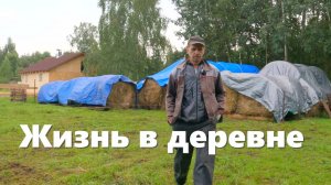 Закупаемся сеном, ускоряемся на стройке, огород, деревенские будни!