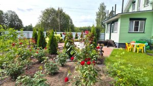 Обзор огорода на 10 августа