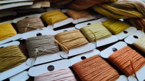 Летний влог. Вторая неделя августа.