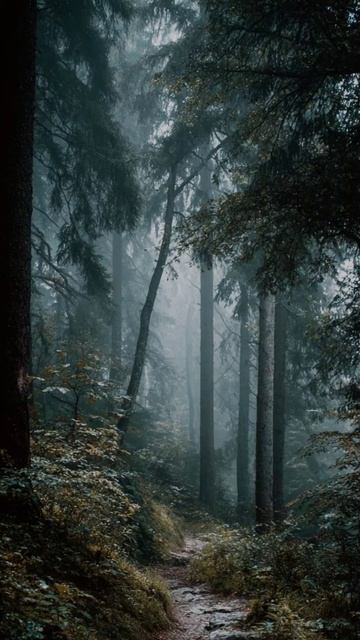Привет моя любимая девчонка.Грей Нео.