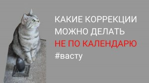 Какие Васту коррекции можно делать НЕ по календарю